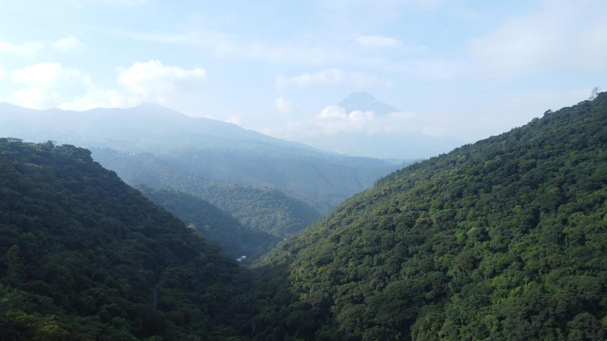 Finca San Mateo - Private Luxury Coffee Estate In Antigua Guatemala Экстерьер фото